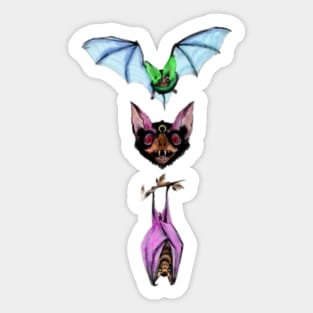 Phases of Vampire Bats Sticker